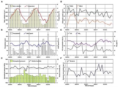 Meteorological Variables and Suicidal Behavior: Air Pollution and Apparent Temperature Are Associated With High-Lethality Suicide Attempts and Male Gender